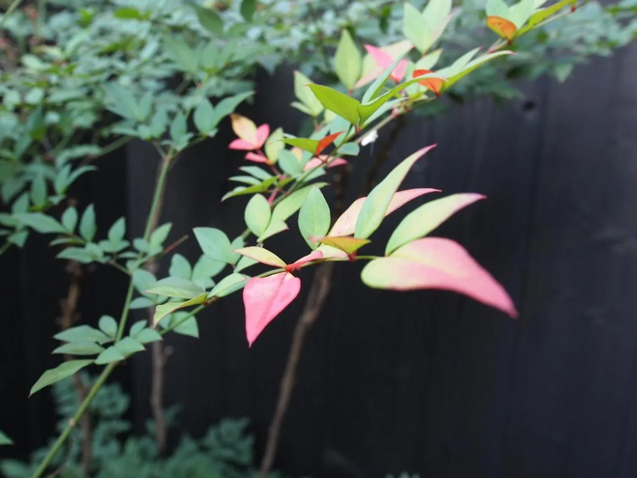 ** Guest house Higashiyama Megumi An Hotel Kyoto Japan